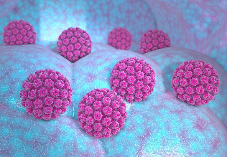 Awareness week – What you need to know about HPV